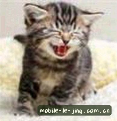 刘娜